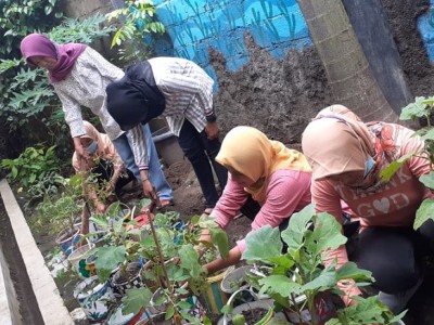 Kebersamaan menanam benih